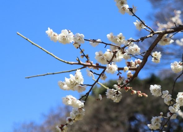 立春前に体感！2/22聞く力の土台ワークショップ＆セミナー報告